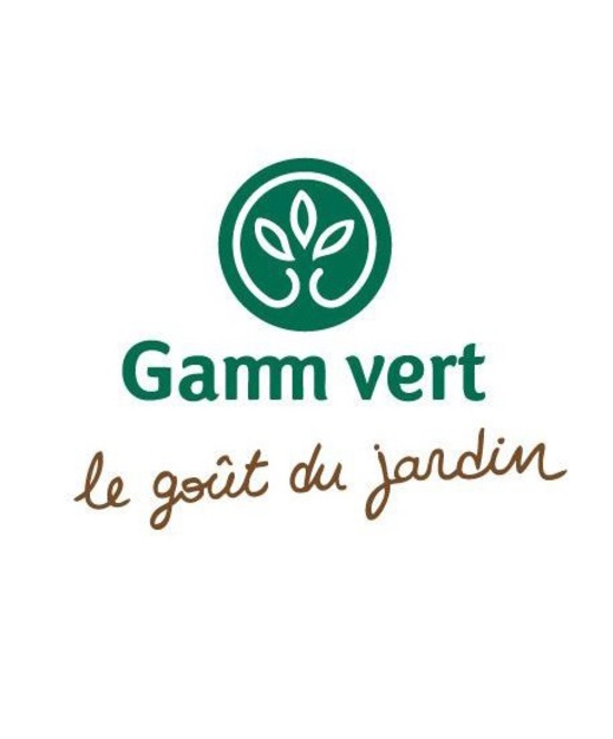 gamm vert.jpg